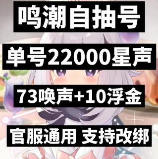 收鸣潮1.3-2.2的，来个工作室对接，测试勿拍