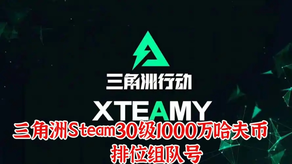 steam三角洲国服30级哈夫币1000+排位组队成品 纯绿手打 战绩可查